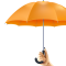 open-umbrella